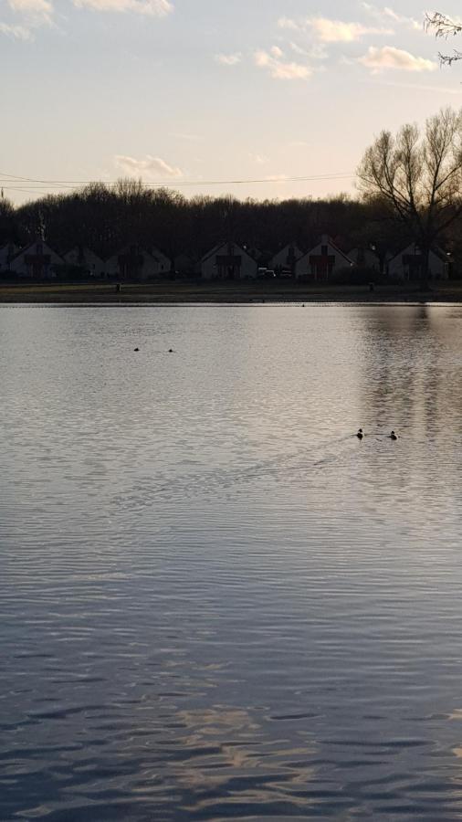Vakantiewoning Maas En Waal Ewijk Экстерьер фото